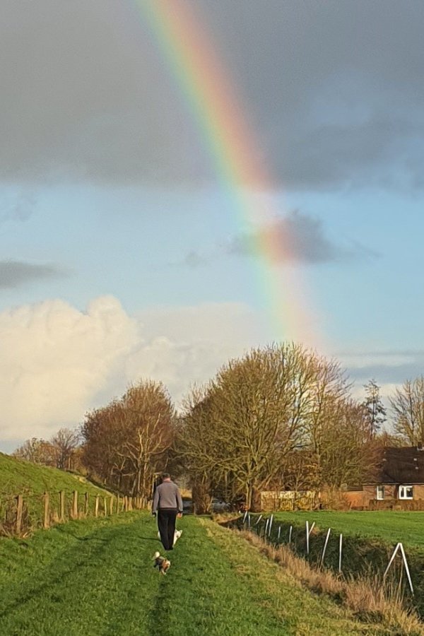 Spaziergänger Mit Hunden Auf Einem Feldweg Vor Einem Regenbogen Im Wangerland